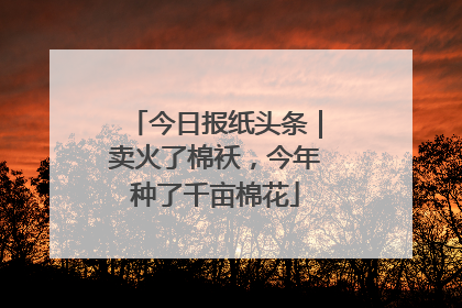 今日报纸头条｜卖火了棉袄，今年种了千亩棉花