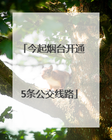 今起烟台开通5条公交线路