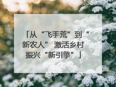 从“飞手荒”到“新农人” 激活乡村振兴“新引擎”