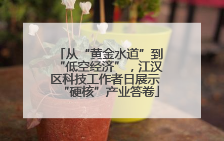 从“黄金水道”到“低空经济”，江汉区科技工作者日展示“硬核”产业答卷