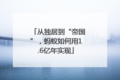 从独居到“帝国”，蚂蚁如何用1.6亿年实现