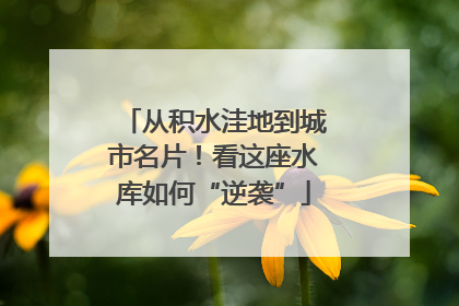 从积水洼地到城市名片！看这座水库如何“逆袭”