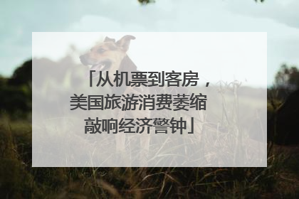 从机票到客房，美国旅游消费萎缩敲响经济警钟