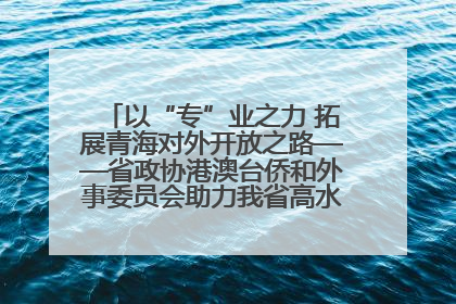 以“专”业之力 拓展青海对外开放之路——省政协港澳台侨和外事委员会助力我省高水平开放和高质量发展