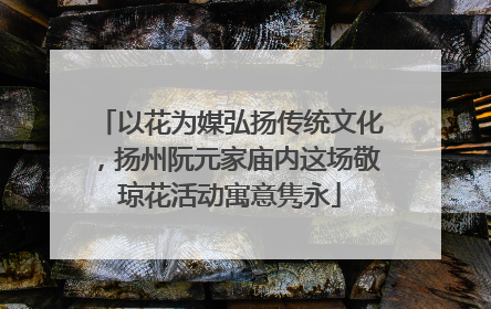 以花为媒弘扬传统文化，扬州阮元家庙内这场敬琼花活动寓意隽永