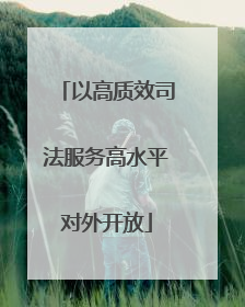 以高质效司法服务高水平对外开放