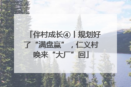 伴村成长④丨规划好了“满盘赢”，仁义村唤来“大厂”回