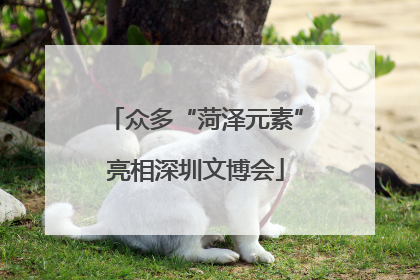众多“菏泽元素”亮相深圳文博会