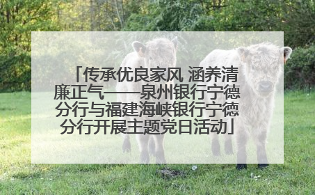 传承优良家风 涵养清廉正气——泉州银行宁德分行与福建海峡银行宁德分行开展主题党日活动
