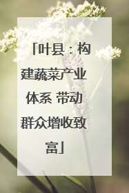 叶县：构建蔬菜产业体系 带动群众增收致富