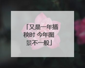 又是一年插秧时 今年图景不一般