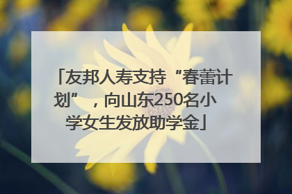 友邦人寿支持“春蕾计划”，向山东250名小学女生发放助学金