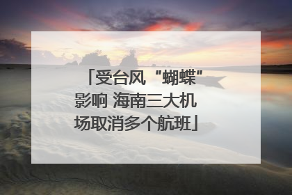 受台风“蝴蝶”影响 海南三大机场取消多个航班