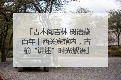 古木阅吉林 树语藏百年｜西关宾馆内，古榆“讲述”时光絮语