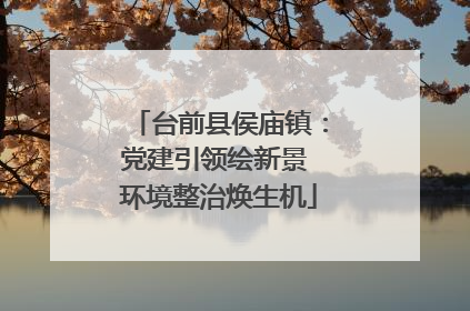 台前县侯庙镇：党建引领绘新景 环境整治焕生机