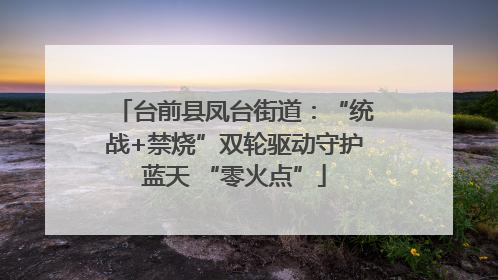 台前县凤台街道：“统战+禁烧”双轮驱动守护蓝天 “零火点”
