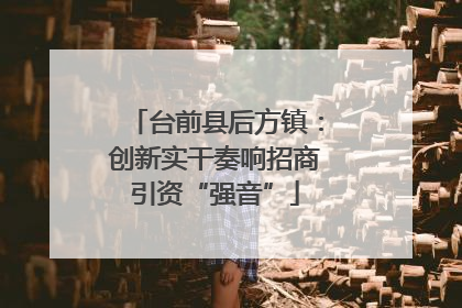 台前县后方镇：创新实干奏响招商引资“强音”