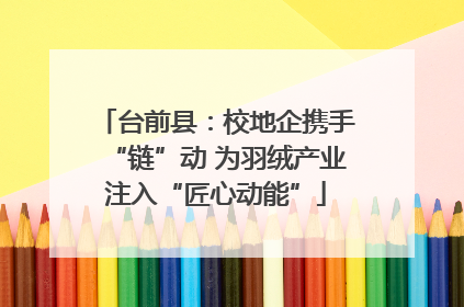 台前县：校地企携手“链”动 为羽绒产业注入“匠心动能”