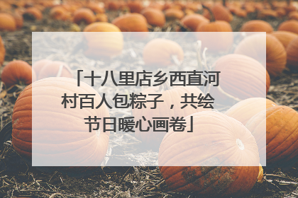 十八里店乡西直河村百人包粽子，共绘节日暖心画卷