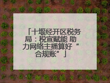 十堰经开区税务局：税宣赋能 助力网络主播算好“合规账”