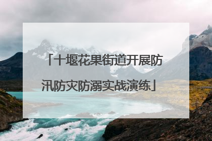 十堰花果街道开展防汛防灾防溺实战演练