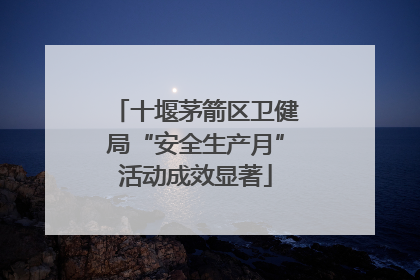 十堰茅箭区卫健局“安全生产月”活动成效显著