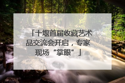 十堰首届收藏艺术品交流会开启，专家现场“掌眼”