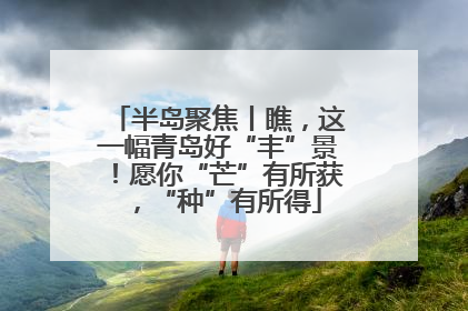 半岛聚焦丨瞧，这一幅青岛好“丰”景！愿你“芒”有所获，“种”有所得