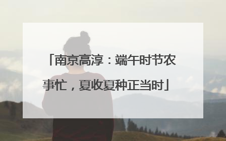 南京高淳：端午时节农事忙，夏收夏种正当时