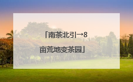 南茶北引→8亩荒地变茶园