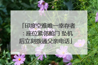 印度空难唯一幸存者：座位紧邻舱门 坠机后立刻拨通父亲电话