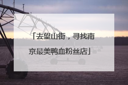 去望山街，寻找南京最美鸭血粉丝店