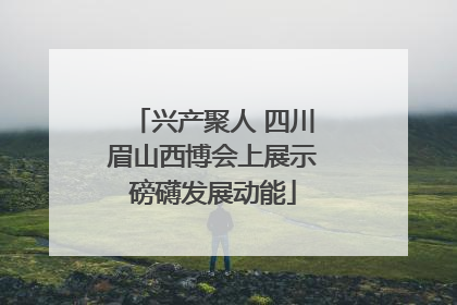 兴产聚人 四川眉山西博会上展示磅礴发展动能