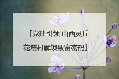 党建引领 山西灵丘花塔村解锁致富密码