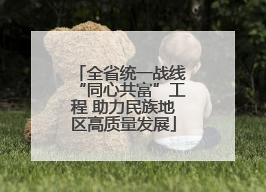 全省统一战线“同心共富”工程 助力民族地区高质量发展