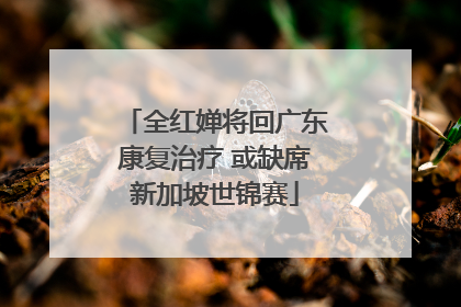 全红婵将回广东康复治疗 或缺席新加坡世锦赛