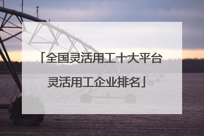 全国灵活用工十大平台 灵活用工企业排名