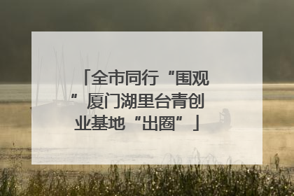 全市同行“围观”厦门湖里台青创业基地“出圈”