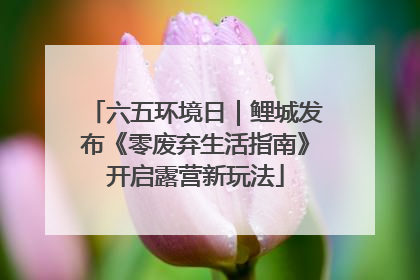 六五环境日｜鲤城发布《零废弃生活指南》开启露营新玩法