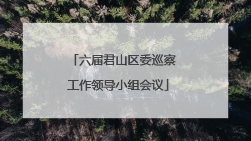 六届君山区委巡察工作领导小组会议