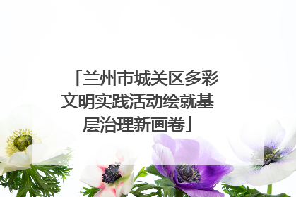 兰州市城关区多彩文明实践活动绘就基层治理新画卷