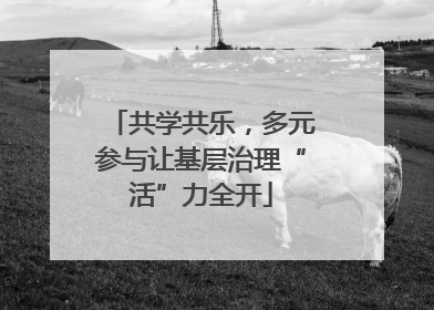 共学共乐，多元参与让基层治理“活”力全开
