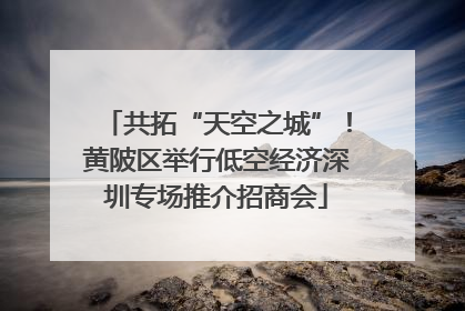 共拓“天空之城”！黄陂区举行低空经济深圳专场推介招商会