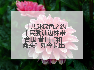 共赴绿色之约丨民勤锁边林带合围 昔日“和尚头”如今长出了“披肩发”