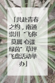 共赴青春之约，南通崇川“飞你莫属 心漾绿茵”草坪飞盘活动举办