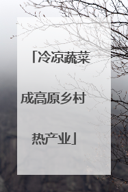 冷凉蔬菜成高原乡村热产业
