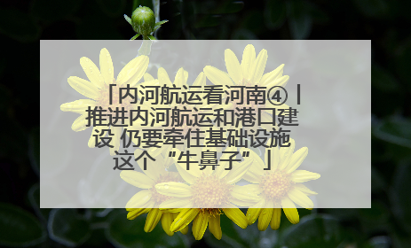 内河航运看河南④丨推进内河航运和港口建设 仍要牵住基础设施这个“牛鼻子”