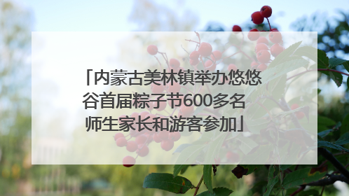 内蒙古美林镇举办悠悠谷首届粽子节600多名师生家长和游客参加