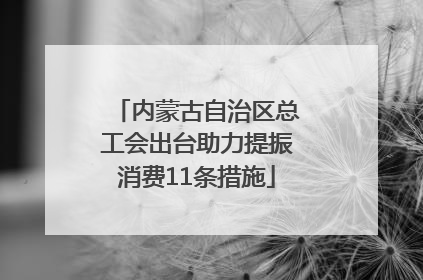 内蒙古自治区总工会出台助力提振消费11条措施