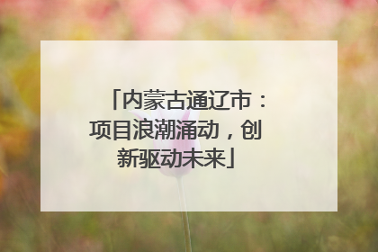 内蒙古通辽市：项目浪潮涌动，创新驱动未来